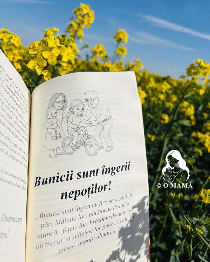 Bună dimineața, oameni frumoși!