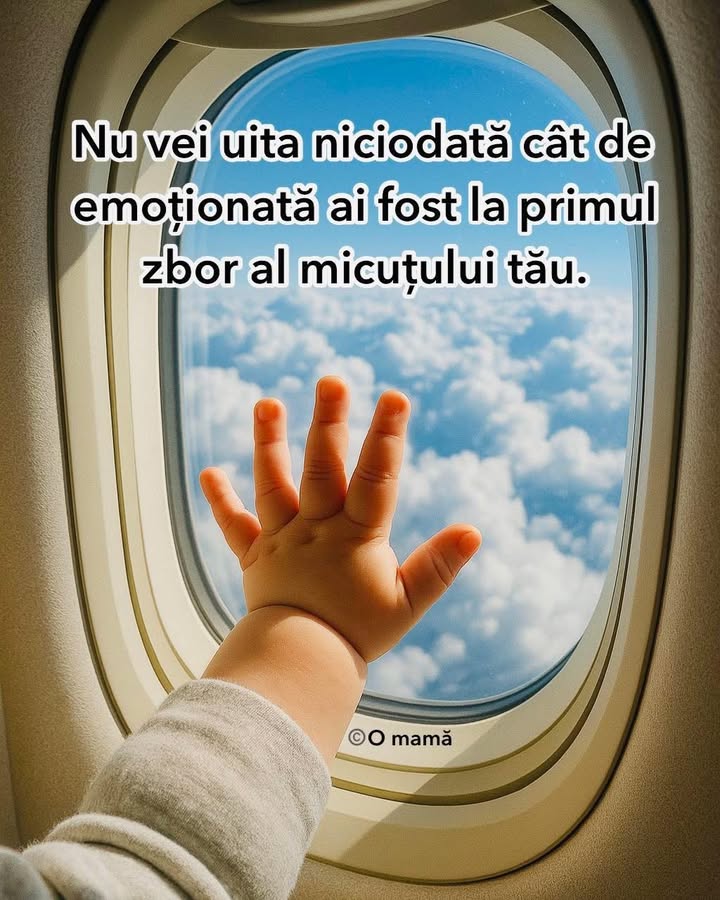 Primul zbor al puiului tău