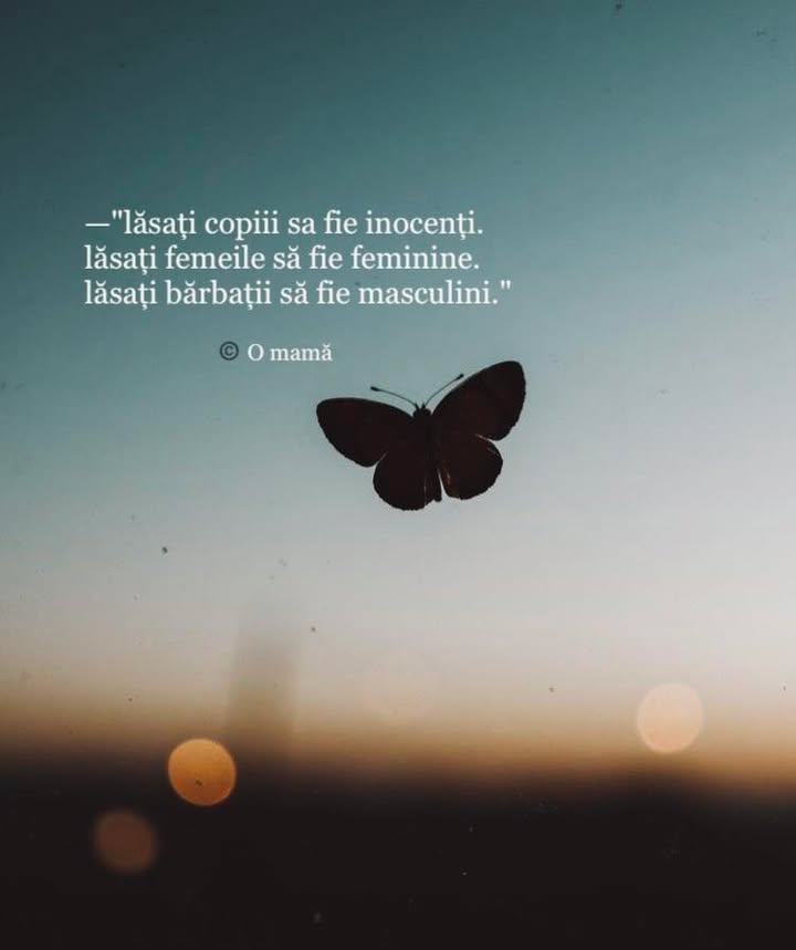 Încotro se îndreaptă această societate?