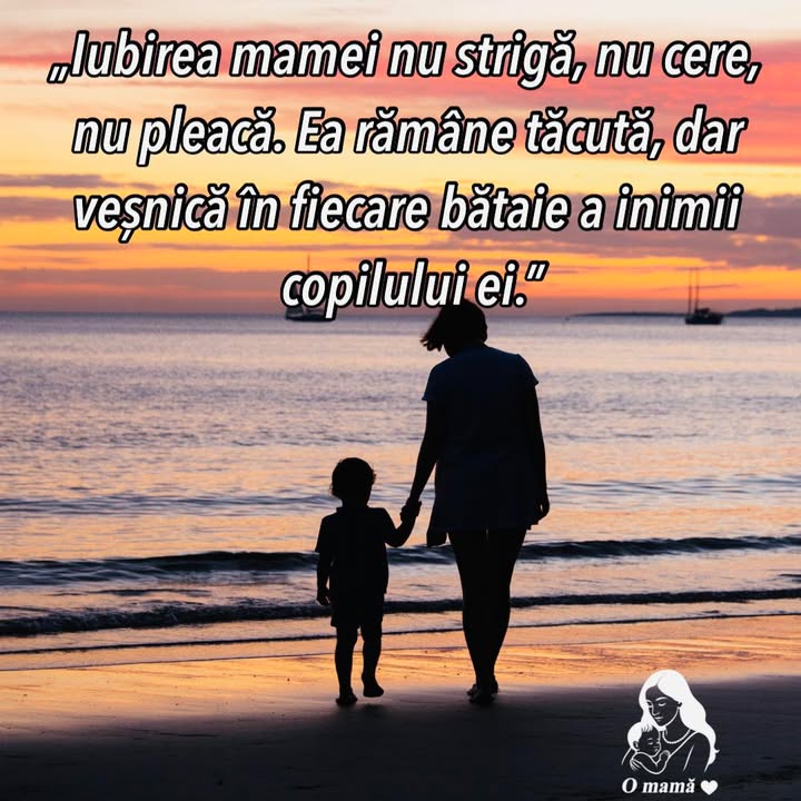 Fragment din cartea © O Mamă, o lansare așteptată cu emoție, în curând.