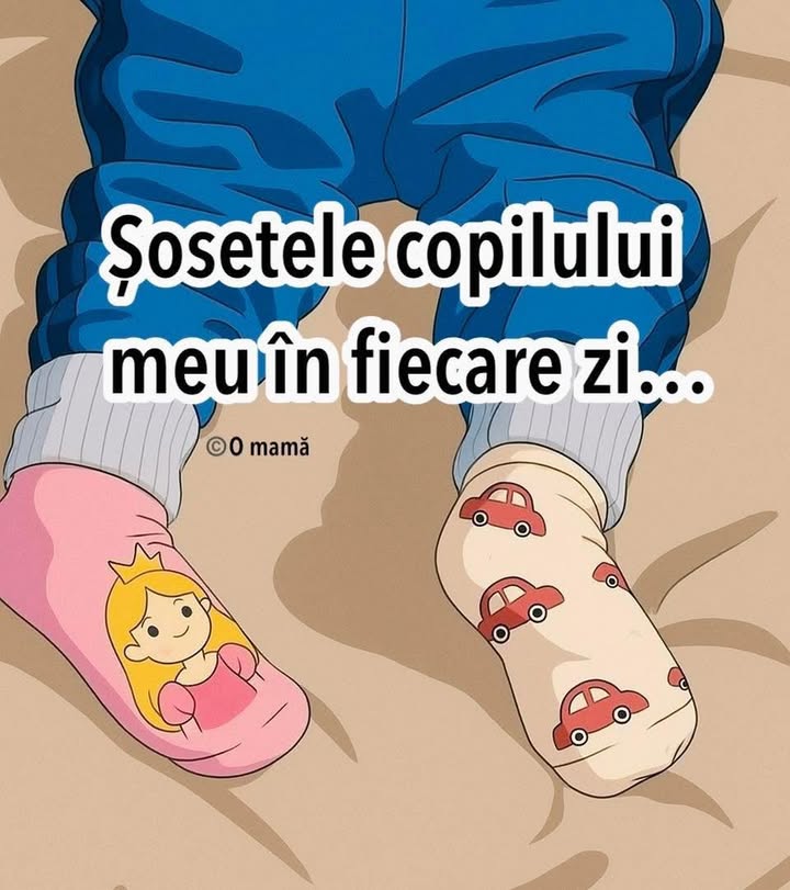 Absolut…